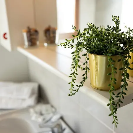 We - House Of Stars - Μπολόνια