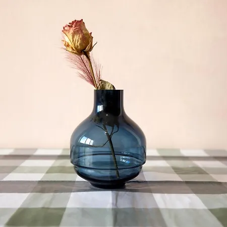 We - House Of Stars - Bologna