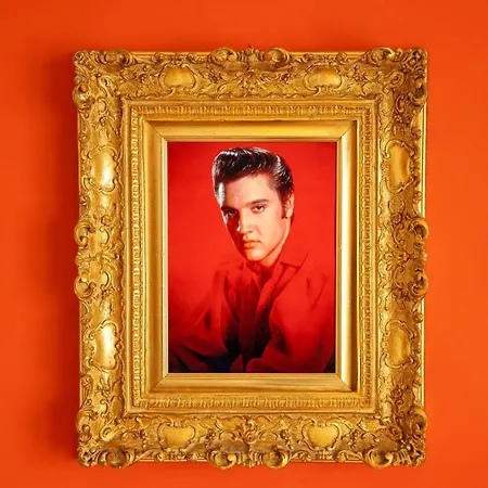 We - House Of Stars -